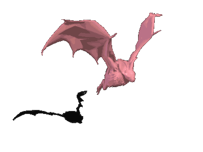 动作合集-奥丁英灵殿$怪物$蝙蝠$Walk.gif