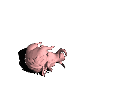 boar_fall_end.gif