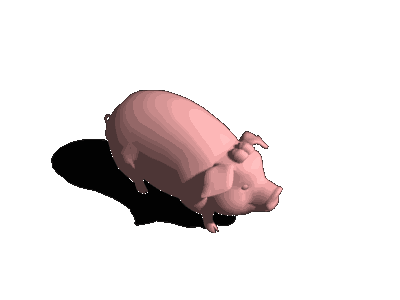 pig_nor_alert.gif