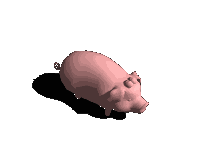 pig_nor_walk_0.gif