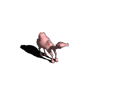 camel_dmg_2_0.gif