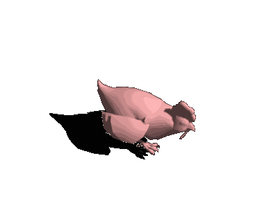 chicken_nor_run_0.gif