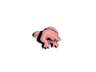 毛尾鼹鼠_Death.gif
