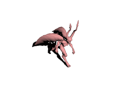 翅膀女怪_run.gif