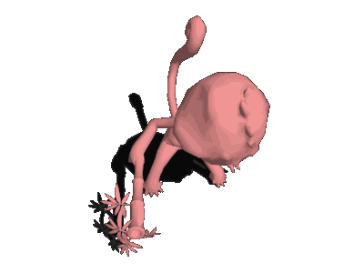 动作合集-QQS1$四足$猴子02$knock_start.gif