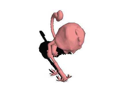 动作合集-QQS1$四足$猴子02$knockdown_start.gif