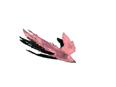 动作合集-TL中世纪$动物$凤凰$T_GLD_Phoenix_Lgnd_S_Mov_Gliding_Fast_L.gif