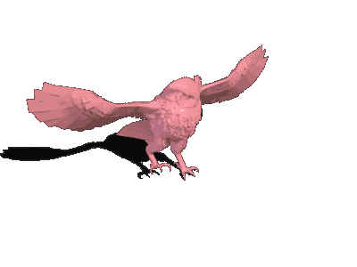 动作合集-TL中世纪$动物$猫头鹰$C_GrayOwl_Polymorph_In_Owl.gif