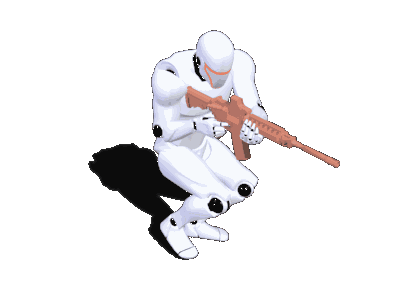 3P_Rifle_Crouch_Walk_FL.gif