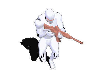 3P_Rifle_Crouch_Walk_FR.gif