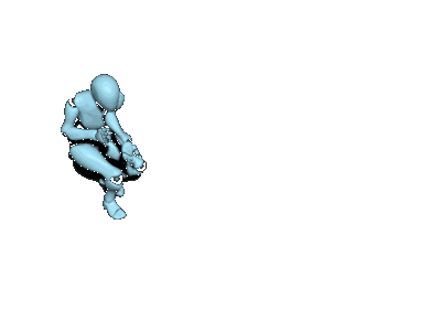 mixamo05_10_walk_crouching_forward_left.gif